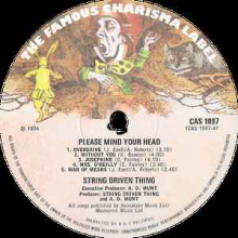 String Driven Thing - Please Mind Your Head
