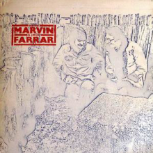 Hank Marvin & John Farrar - Hank Marvin & John Farrar