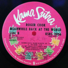 Roger Cook - Meanwhile Back At The World