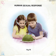 Human Sexual Response - Fig.14