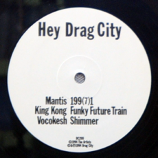 Various Artists - Hey Drag City